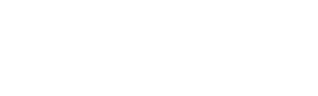 logo sci value